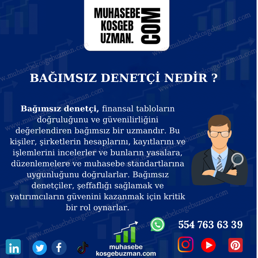 Bağımsız Denetçi Nedir ?