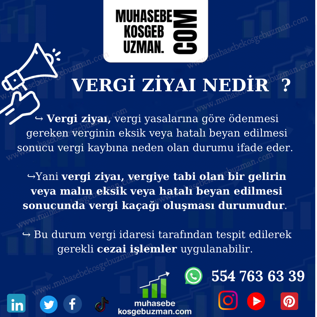 VERGİ ZİYAI NEDİR ?